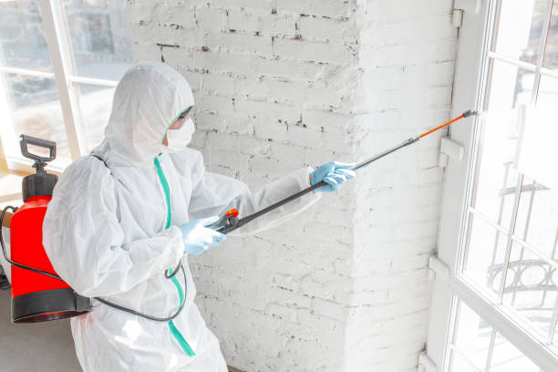 Fire Damage Restoration in Preston, TX
